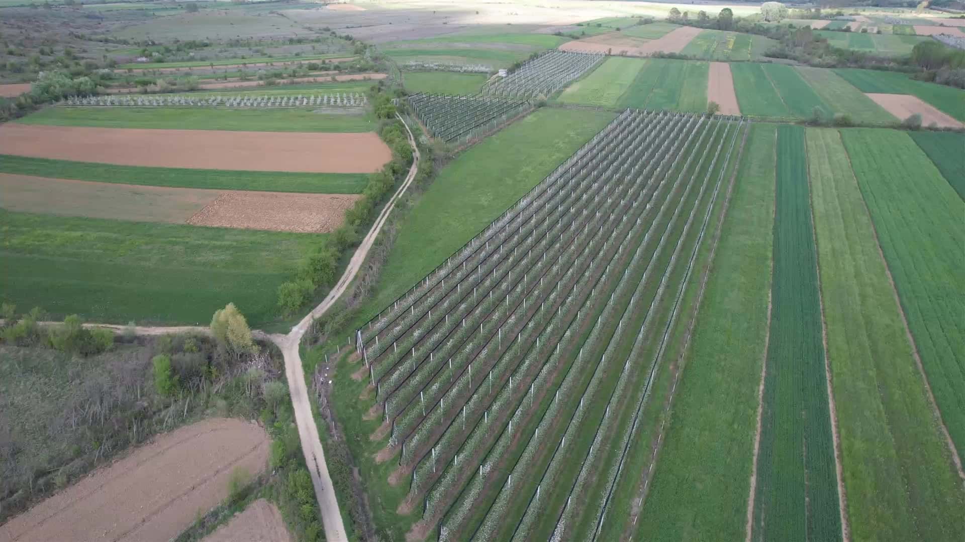 Pamje ajrore nga pemishtat e Frigorifer Zaimi